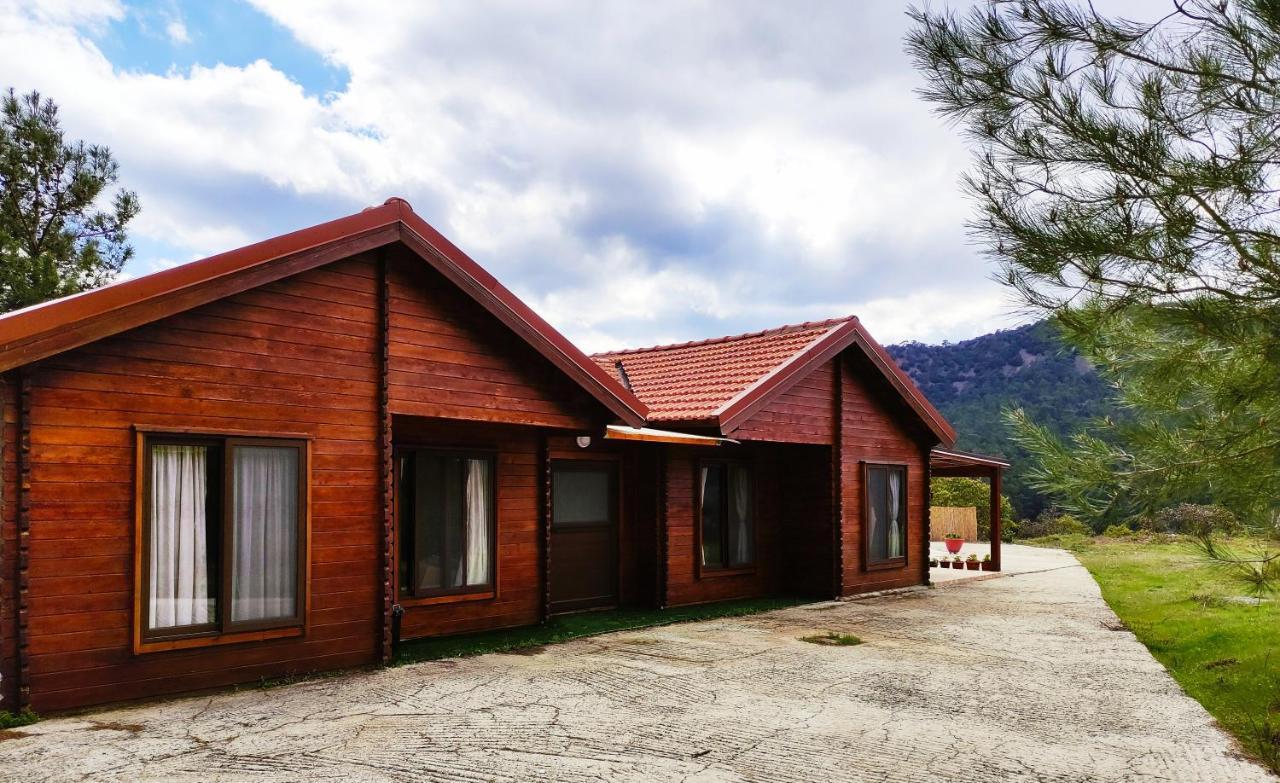 The Cosy Mountain Cabin With Stunning Views Near Troodos Kato Amiandos Eksteriør billede